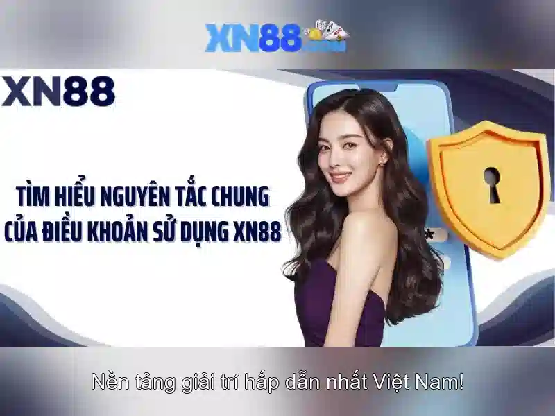 Trải nghiệm người dùng và hỗ trợ