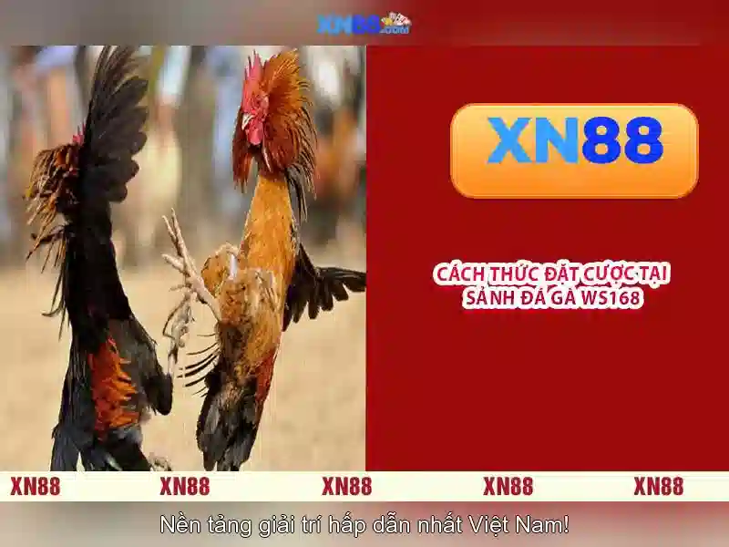 xn88 - Giới thiệu và vai trò trong ngành giải trí trực tuyến Giao diện nhà cái hoàn hảo