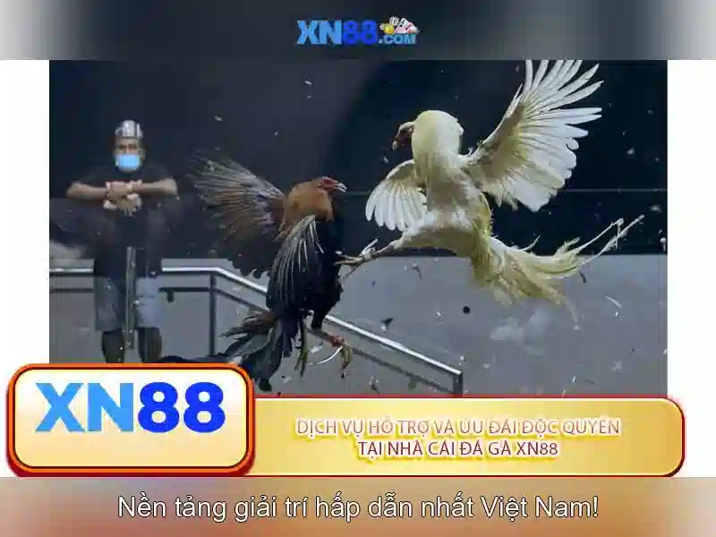Giao diện nhà cái hoàn hảo