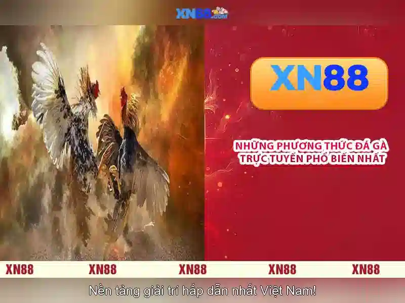 Giao diện nhà cái hoàn hảo