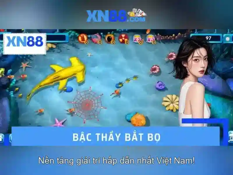 Giao diện người dùng và trải nghiệm