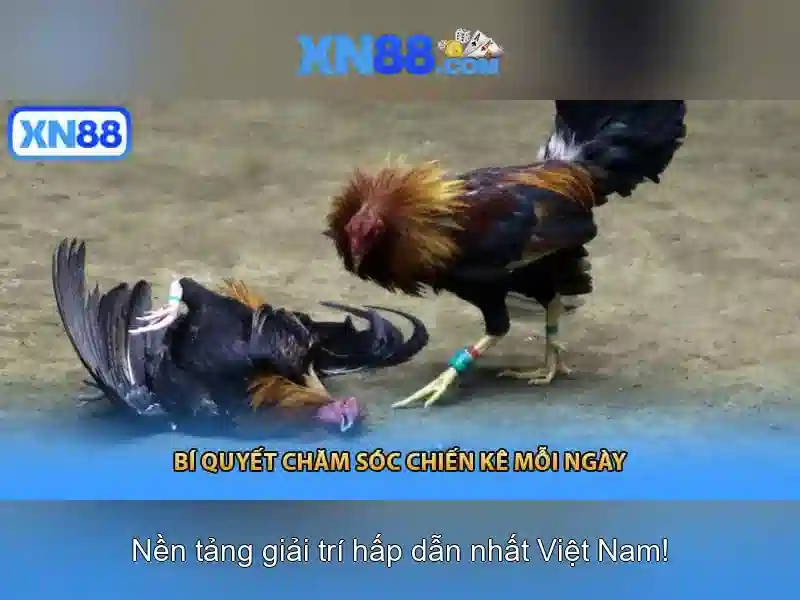 Hướng phát triển và tầm nhìn tương lai