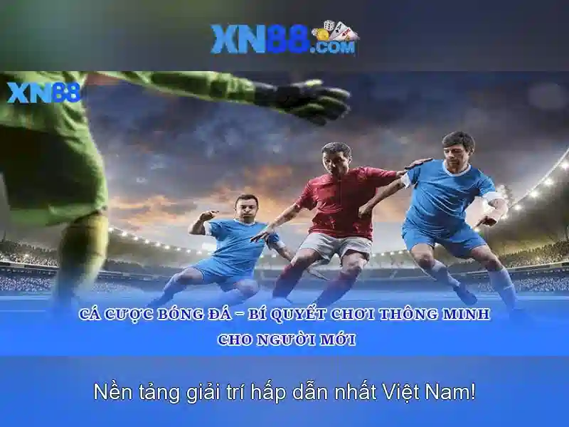 Giao diện nhà cái hoàn hảo