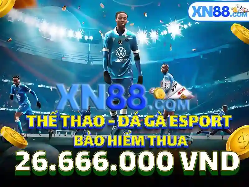 Hướng dẫn tham gia và lưu ý an toàn