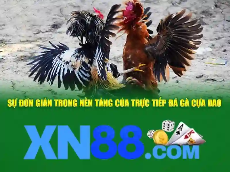 Giao diện nhà cái hoàn hảo