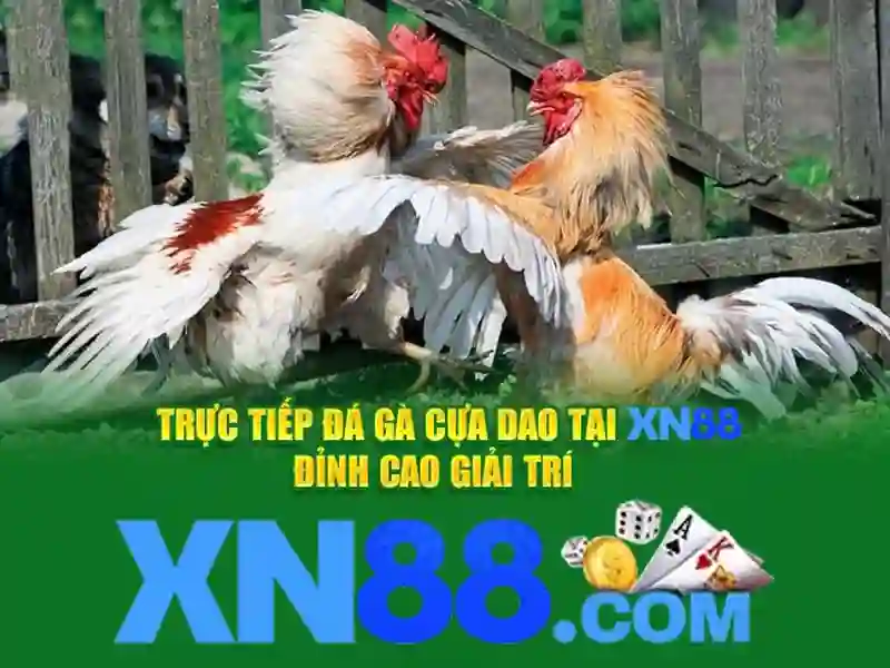 Hướng dẫn đăng ký và truy cập xn88